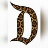 divazquez13